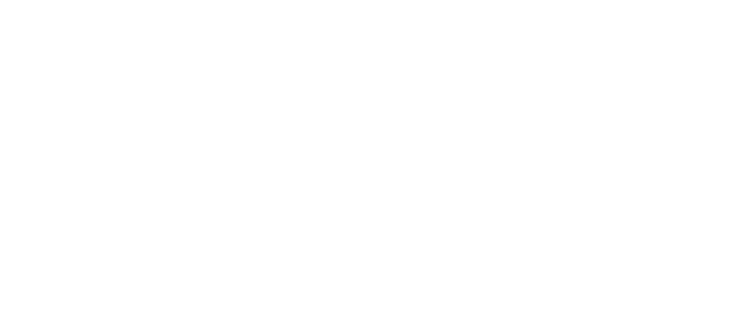 Dhara Traders