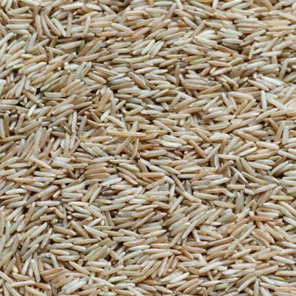 🌾 RICE