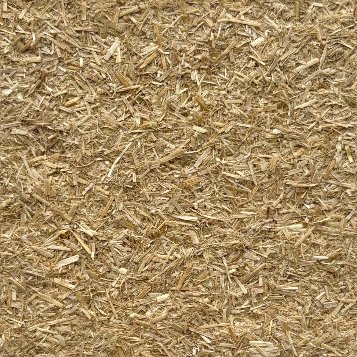 ๐พ Bhusa (Wheat Straw)
